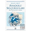Anadolu Selçukluları: Bir Hanedanın Evrimi