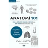 Anatomi 101