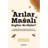 Arılar Masalı Bugüne Ne Söyler?