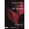 Avucumda Solan Bir Yaprak