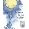 Aydede Peynir Değildir