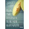 Bakmadığınız Bir Yer Kalmıştı