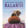 Balarısı