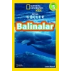 Balinalar