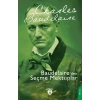 Baudelaire’den Seçme Mektuplar