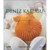 Bir Dahaki Sefer DENİZ KABUĞU GÖRDÜĞÜNDE - Next Time You See a Seashell
