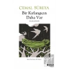 Bir Kırlangıcın Daha Var
