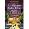 Bir Köpeğin Budist Olma Arayışı