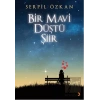 Bir Mavi Düştü Şiir