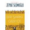 Bir Şarkı Gibiydi