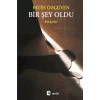 Bir Şey Oldu
