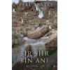 Bir Şiir Bin Anı
