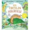 Bir Tırtılın Hikayesi