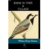 Birds in Town and Village