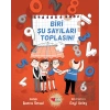 Biri Şu Sayıları Toplasın