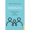 Birikim