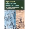Birikim Bunalımı