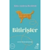 Bitirişler