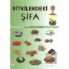 Bitkilerdeki Şifa
