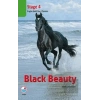 Black Beauty Cdli (Stage 4)
