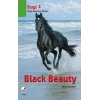 Black Beauty CD’li  (Stage 4)