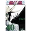 Bleach 40. Cilt