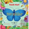 Küçük Kaşif - Böcekler