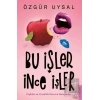 Bu İşler İnce İşler