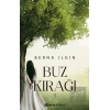 Buz Kırağı 3