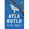 Cadı Ağacı