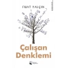Çalışan Denklemi