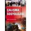 Çalışma Sosyolojisi