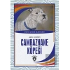 Cambazhane Köpeği