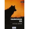 Camcının İti