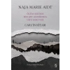 Carl’ın Kitabı