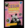 Cesur Hayvanlar Çıkartmalı Aktivite Kitabı Matematik Becerileri