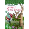 Çevreci Uç Uç Böceği