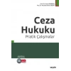 Ceza Hukuku Pratik Çalışmalar