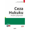 Ceza Hukuku Pratik Çalışmalar