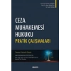Ceza Muhakemesi Hukuku Pratik Çalışmaları