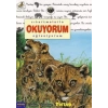 Çıkartmalarla Okuyorum Eğleniyorum - Aslan Yavrusu Tortop