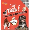 Çok tatlı yavru köpekler