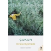 Çukur