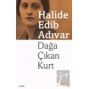 Dağa Çıkan Kurt