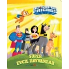 DC SUPER FRIENDS SUPER EVCİL HAYVANLAR