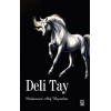 Deli Tay