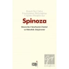 Descartes Felsefesinin İlkeleri ve Metafizik Düşünceler