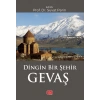 Dingin Bir Şehir GEVAŞ