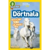 Dörtnala