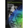 Düşler Ormanında